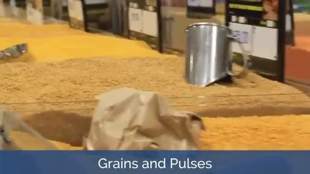 METRO Cash and Carry - Store Walk Through смотреть онлайн