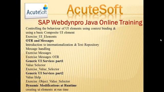 SAP Webdynpro Java Online Training смотреть онлайн