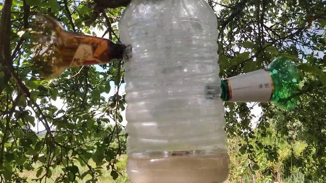 Супер способ избавления от комаров и мошек на участке. смотреть онлайн