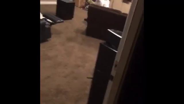 HAUNTED MOUND FAN ARCHIVE VOL. 1 (2020 - 2022)