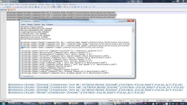 Tera Online Угол обзора (FOV), расстояние до персонажа
