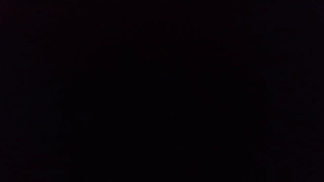 Theyodercatalogue.mp4