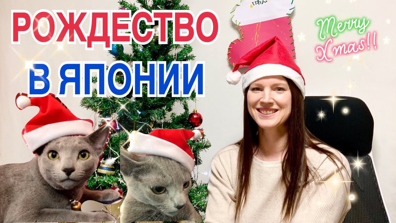 Как празднуют Рождество в Японии. Поздравление от наших котиков. Рождественская песня моего мужа. смотреть онлайн