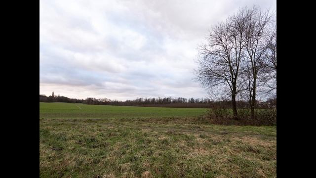 Leica D-Lux 7 Camera Test With Images + Video Footage In 2024