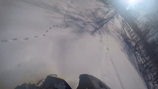 Барнаул brp ski-doo Summit t3 163 Учимся ездить))) смотреть онлайн