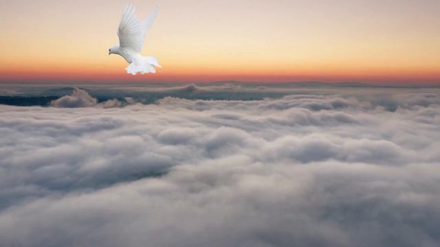 Oración al Espíritu Santo cada día | Hoy 2024 | en el Cenáculo смотреть онлайн