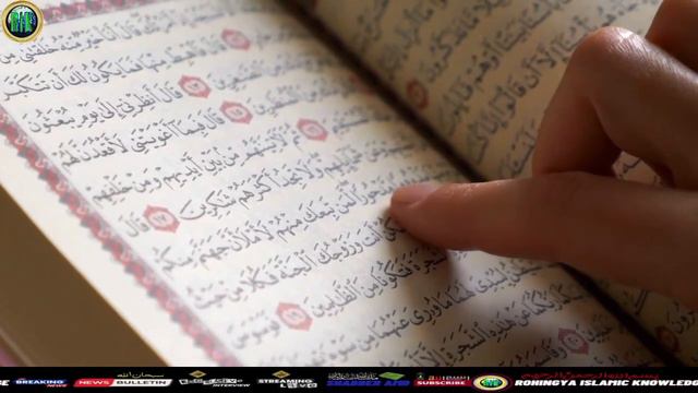Jihad kis Liya farz hai interesting Bayan by Sodul Amin Sab #islam #knowledge #rohingya #best смотреть онлайн