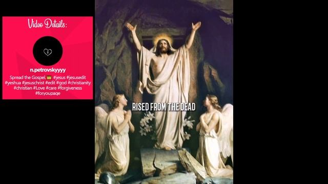 The Novel's Extra React (1/?) смотреть онлайн