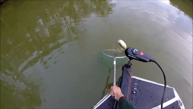 Cross Creek Spring 2017- GULP ALIVE MINNOW Action!!!! смотреть онлайн
