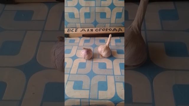 КАК ЛЕЧИТЬ САМЫЙ СИЛЬНЫЙ КАШЕЛЬ ?САМОЕ ЛУЧШЕЕ СРЕДСТВО от КАШЛЯ! смотреть онлайн