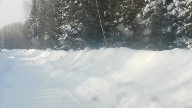 Глухарь почти ручной смотреть онлайн