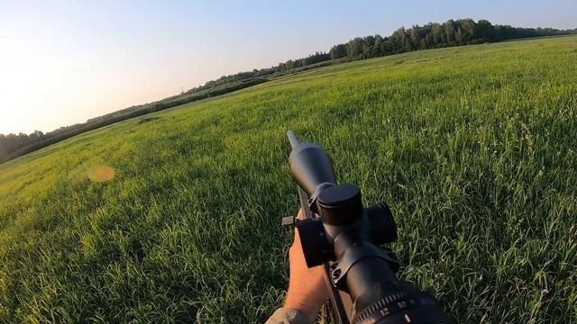 Охота на самца косули на гону в Беларуси 2021 смотреть онлайн