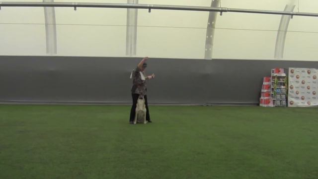 Открытый-Фристайл - Дмитриева Людмила и метис Ричард смотреть онлайн