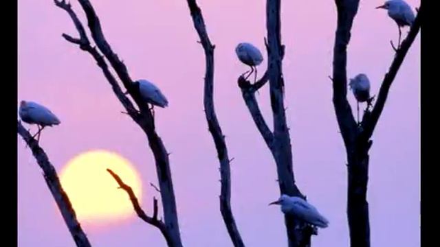 С праздником!!! смотреть онлайн