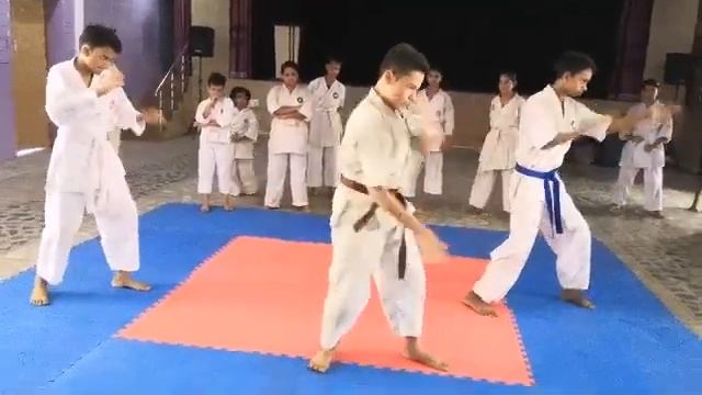 Enshin Development Foundation Karate full contact смотреть онлайн