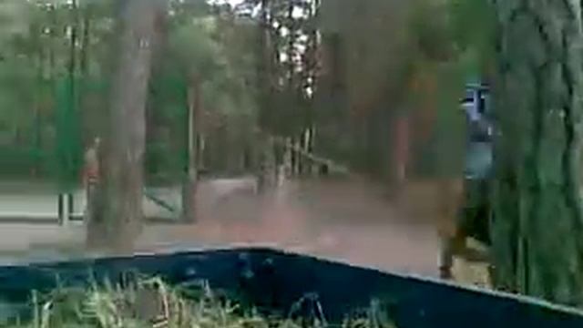 обкатка лошади. смотреть онлайн