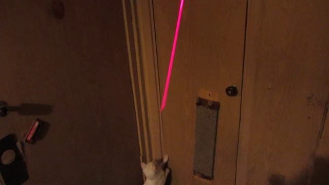 Кошка и лазер/The cat and the laser смотреть онлайн