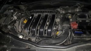 14.11.2021 повтор.звуки в двигателе Ниссан Террано, 2016 г.в