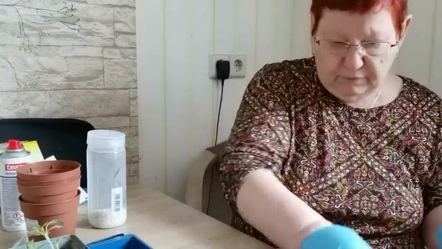 ВЕСНА, РАССАДА , ПОДРОБНО! / 890 смотреть онлайн