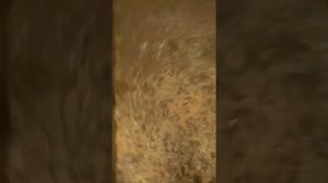 циклон для пылесоса своими руками, усовершенствования.