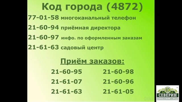 МЫ РАБОТАЕМ ДЛЯ ВАС!!! смотреть онлайн