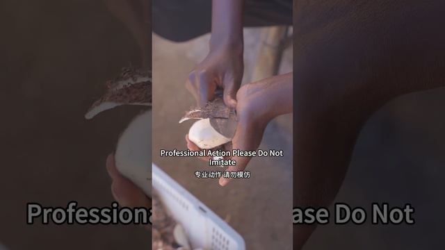 I can't do heavy work now, my husband and cousin took the tea seeds to press for oil смотреть онлайн