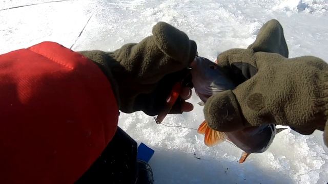 Карелия. Живу и рыбачу в глубинке! Онежское озеро, Заонежье. смотреть онлайн