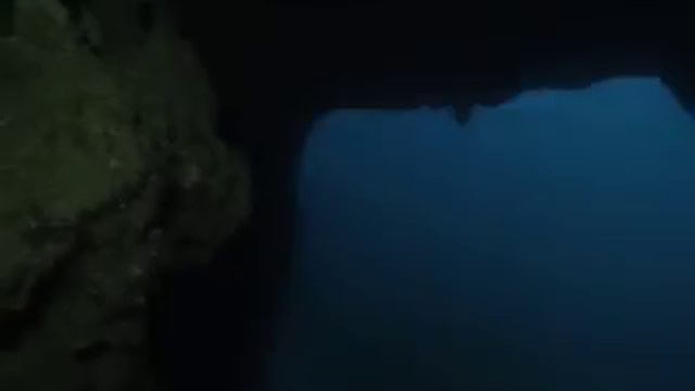 Cave diving in Malta смотреть онлайн