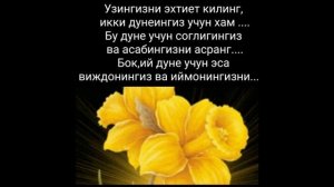 Отин ойидан чиройли маруза