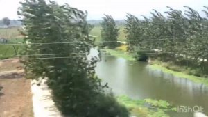 Сельское хозяйство в Китае. На скорости 200 км. Завод Ремсинтез