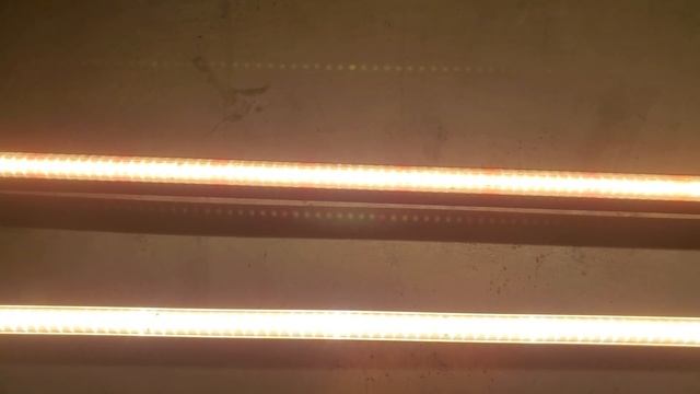 КЛУБНИКА НА МИН. ВАТЕ - МОНТАЖ КАПЕЛЬНОГО ПОЛИВА, ЛОТОК И УСТАНОВКА МАТОВ смотреть онлайн