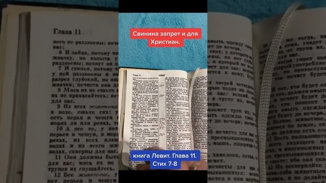 Библия запрещает кушать свинину смотреть онлайн