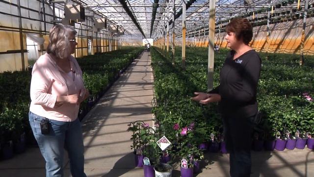 What's Growin' On? S13/E2 смотреть онлайн