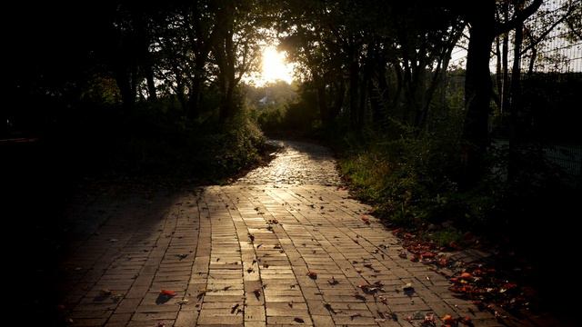 Felix Mendelssohn-Bartholdy: Lied ohne Worte op.109, Anna Lenda, Violoncello - Klaus Jäckle, Gitarr смотреть онлайн
