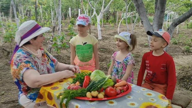 Дачные загадки с огородной грядки смотреть онлайн