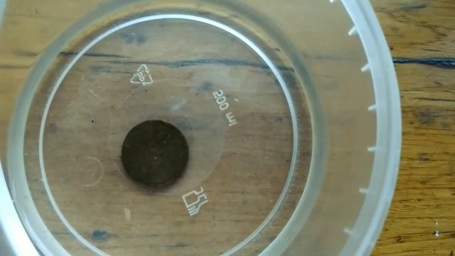 ШОК!!! Средство для чистки медных монет в одно касание 0990803048 смотреть онлайн