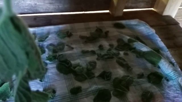 Учим Делать Креативно