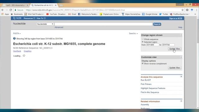 Collecting Promoter Sequence of a Gene from NCBI Database смотреть онлайн