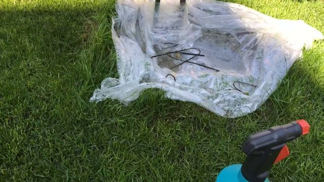 ПОЛИВ РОЗ, СКОЛЬКО ЛИТРОВ ВОДЫ НУЖНО? смотреть онлайн