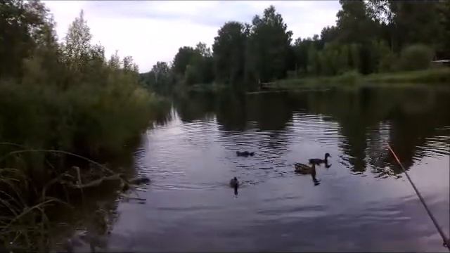А утки кря, кря, кря... смотреть онлайн