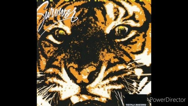 Eye of the tiger Cover смотреть онлайн
