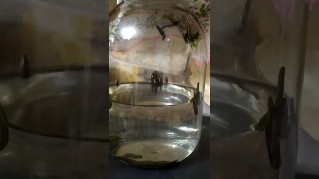 молодёжь после кормления смотреть онлайн