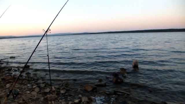 Ночевка на Егорлыкском , от Пал Палыча 9 07 21 смотреть онлайн