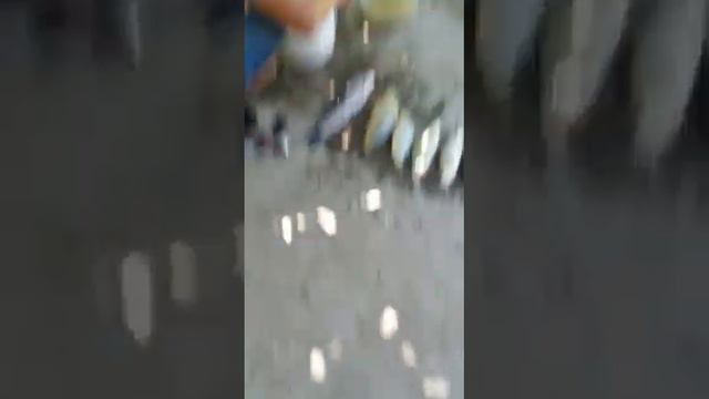 Рыбалка на даче удалася на славу вся семья довольна❤️🥰😘 смотреть онлайн