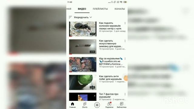 Зимовка муравьев! Как правильно провести зимовку муравьям? смотреть онлайн