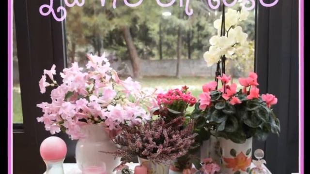 on a sweet piano melody.wmv смотреть онлайн