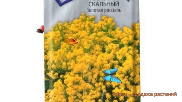 Алиссум скальный Золотая россыпь ? обзор: как сажать, семена алиссума Золотая россыпь смотреть онлайн
