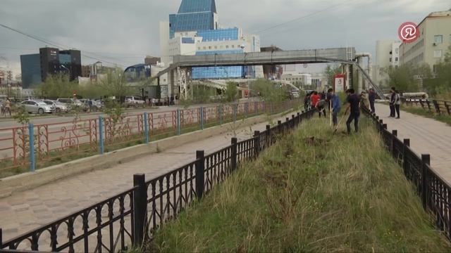 Сотрудники «Сахамедиа» посадили деревья возле памятника Семену Дежневу смотреть онлайн