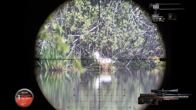 Crow hunting Кроухантинг май 2020 смотреть онлайн