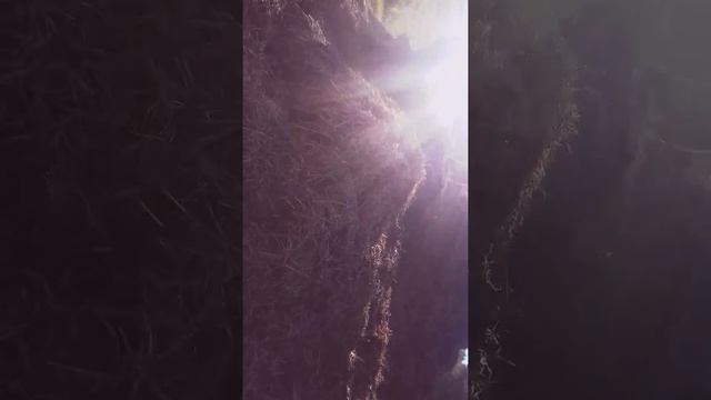 Когда дома делать нечего смотреть онлайн